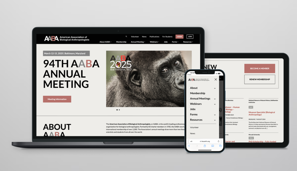 Web Development for an Association