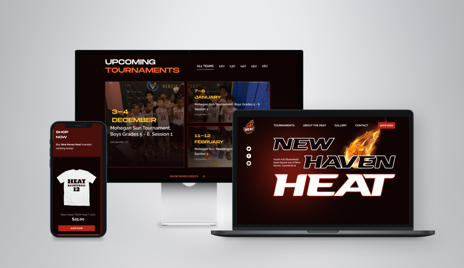 AAU Website Design